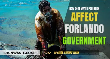 Water Pollution: Forlando's Governance Challenge