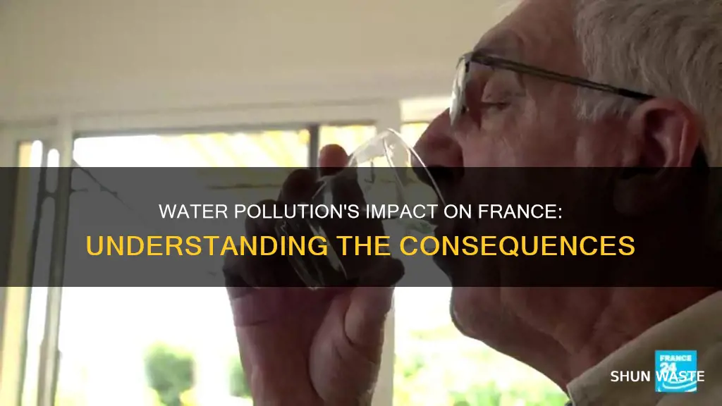 how does water pollution affect france