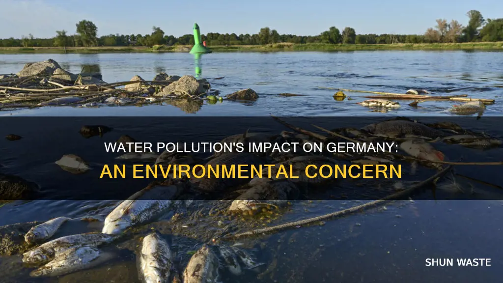 how does water pollution affect germany