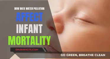 Water Pollution's Deadly Impact on Infant Mortality