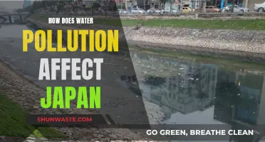 Water Pollution's Impact on Japan: A Troubling Reality