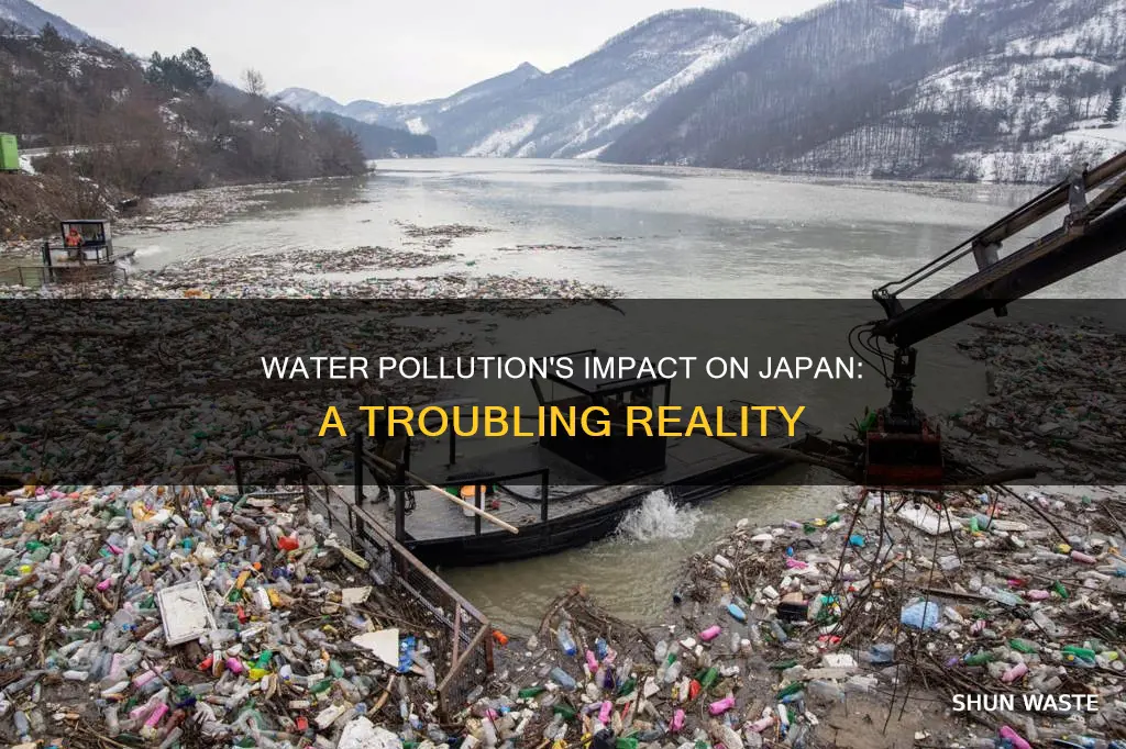 how does water pollution affect japan