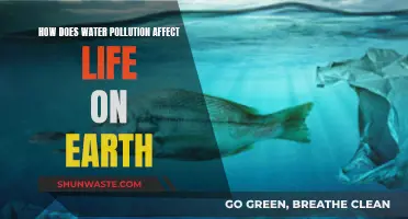 The Devastating Impact of Water Pollution on Our Planet's Life