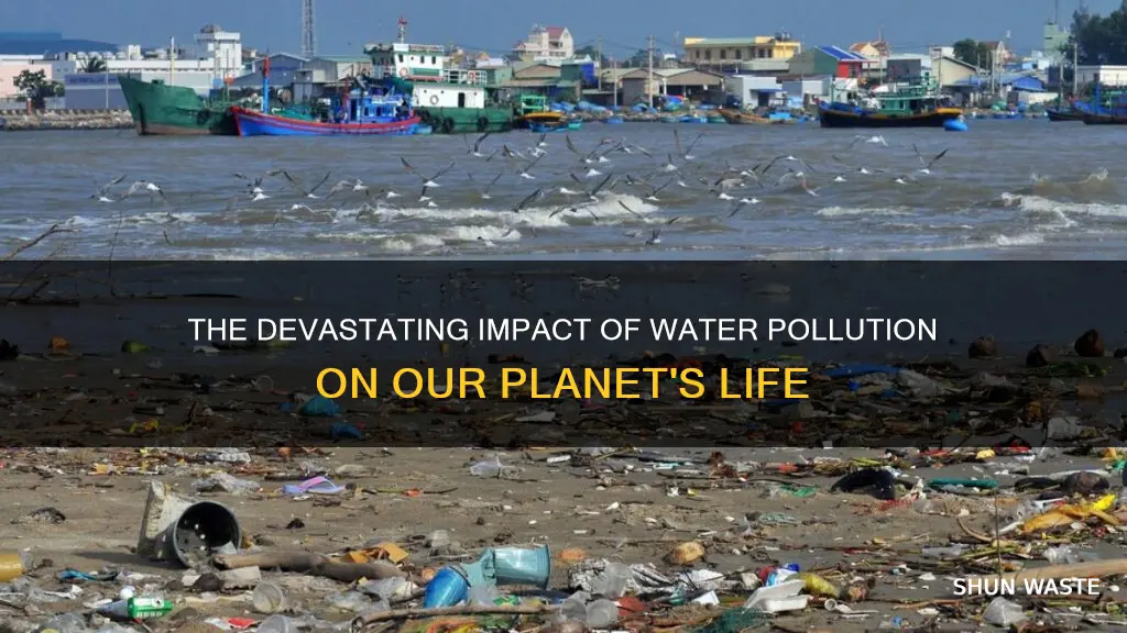 how does water pollution affect life on earth