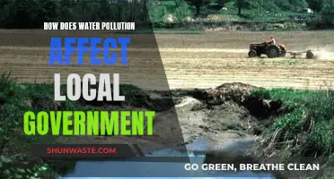 Water Pollution's Impact: Local Government's Challenge