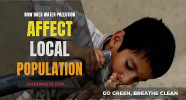 Water Pollution: Impacting Local Communities' Health and Environment