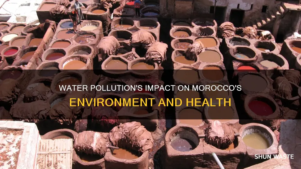 how does water pollution affect morocco