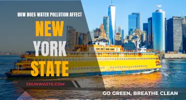 Water Pollution's Impact on New York State's Environment