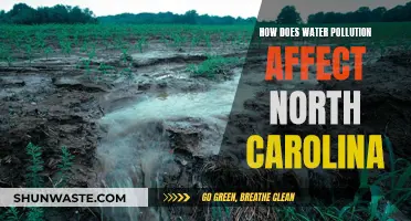 Water Pollution's Impact on North Carolina's Environment