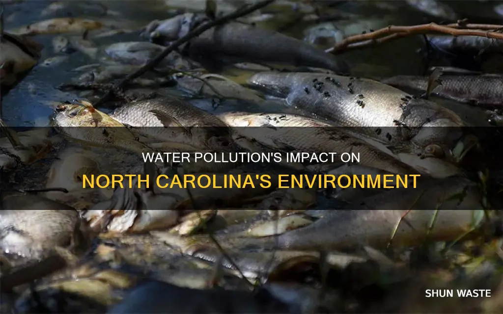 how does water pollution affect north carolina