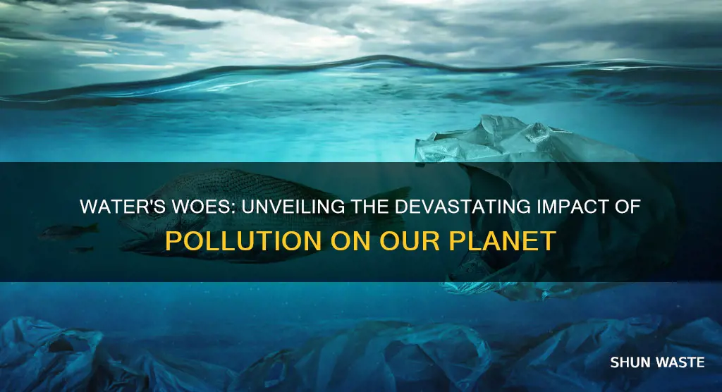 how does water pollution affect our planet