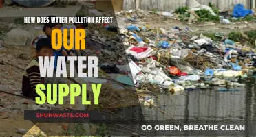 Water Pollution: Impact on Our Supply and Health