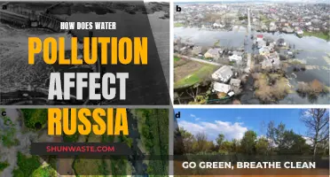 Water Pollution's Impact on Russia's Environment and Health