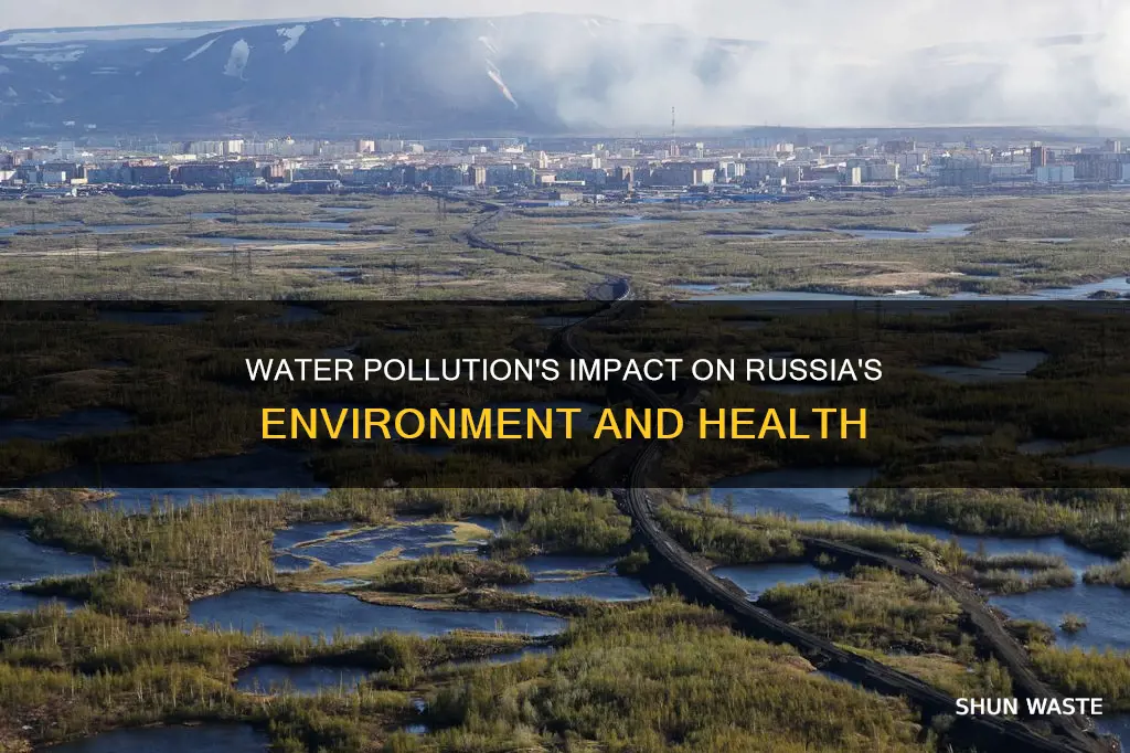 how does water pollution affect russia