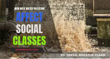 Water Pollution: A Social Divide and Injustice