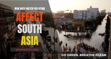 Water Pollution's Impact on South Asia's Environment