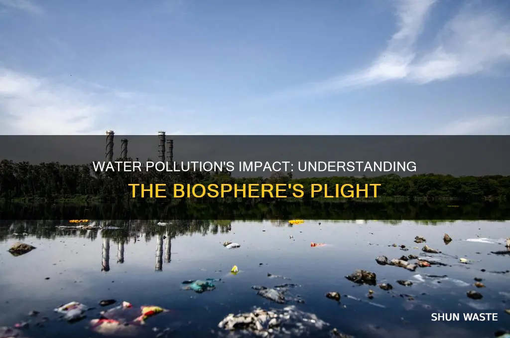 how does water pollution affect the biosphere