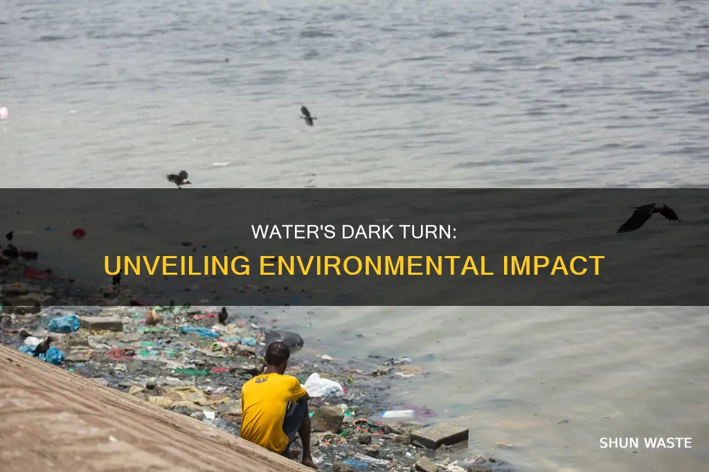 how does water pollution affect the enviorment