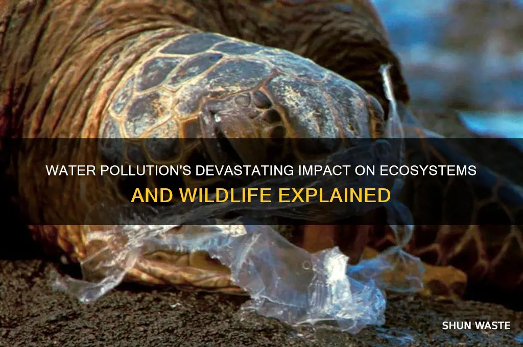 Water Pollution's Devastating Impact On Ecosystems And Wildlife
