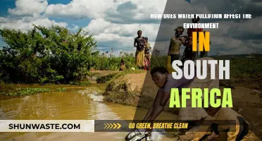 Water Pollution's Devastating Impact on South Africa's Environment and Ecosystems