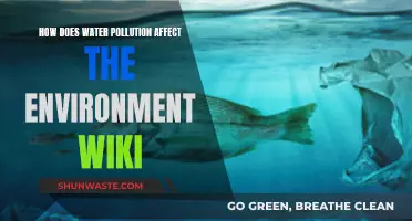 Water Pollution: Environmental Impact and Concerns