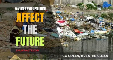 Water Pollution: Our Future's Uncertain Fate