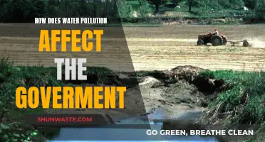 Water Pollution: Impact on Government Policies and Actions