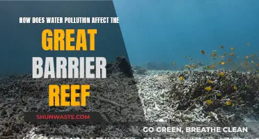 Water Pollution's Impact on the Great Barrier Reef