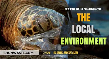 Water Pollution's Devastating Impact on Local Ecosystems and Wildlife