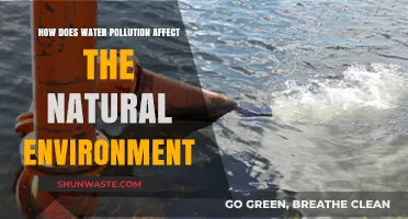 Water Pollution's Devastating Impact on Ecosystems and Wildlife