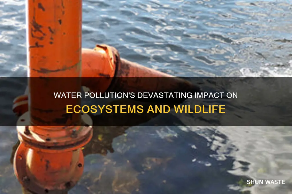 Water Pollution's Devastating Impact On Ecosystems And Wildlife ShunWaste