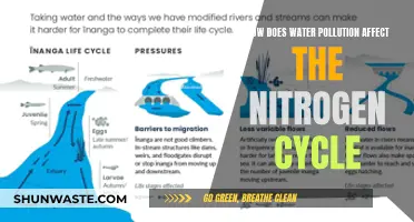 Water Pollution's Impact: Disrupting Nature's Nitrogen Balance