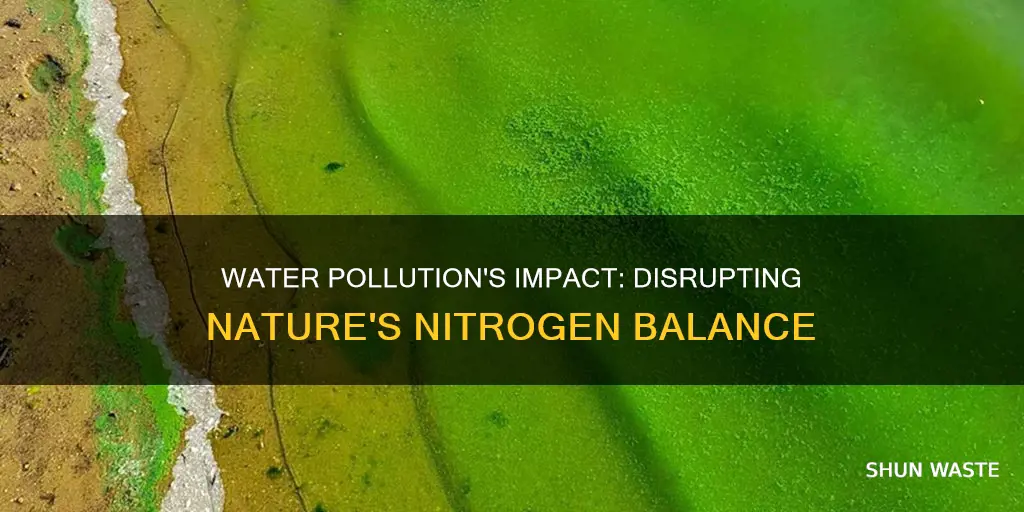 how does water pollution affect the nitrogen cycle