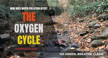 Water Pollution's Impact on the Oxygen Cycle Explained