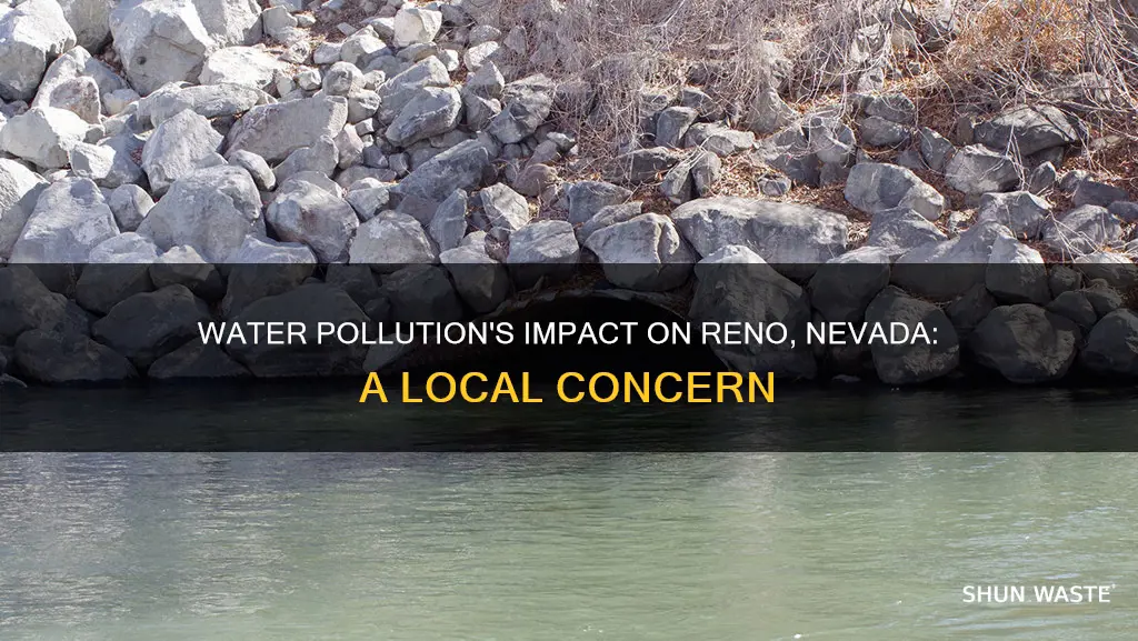 how does water pollution affect the reno nevada area