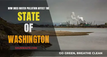 Water Pollution: Washington's Environmental Crisis