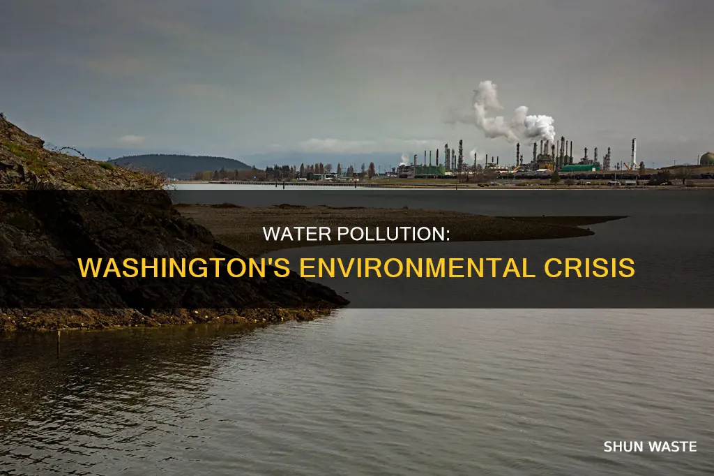 how does water pollution affect the state of washington