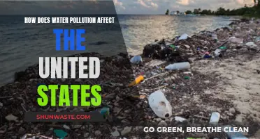 Water Pollution's Impact on the United States' Health