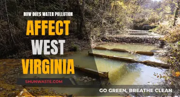 Water Pollution's Impact on West Virginia's Environment