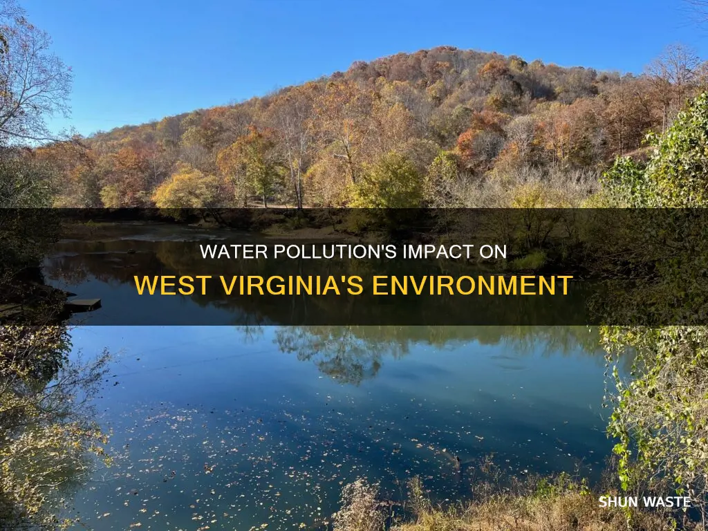 how does water pollution affect west virginia