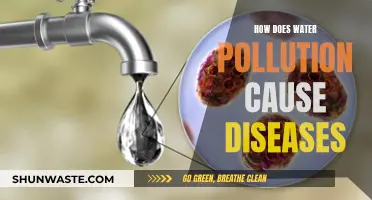 Unseen Dangers: Water Pollution's Impact on Human Health