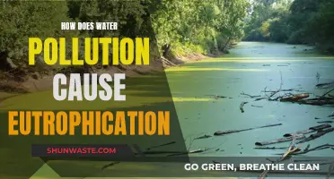 Unveiling the Link: Water Pollution's Role in Eutrophication