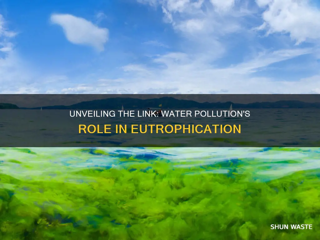 how does water pollution cause eutrophication