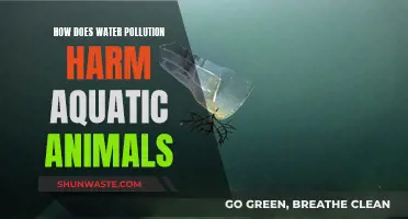 The Devastating Impact of Water Pollution on Aquatic Life