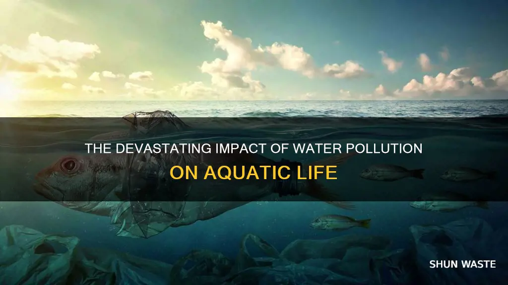 how does water pollution harm aquatic animals