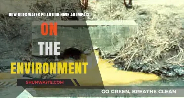 Water Pollution's Devastating Environmental Impact: Causes, Effects, and Solutions