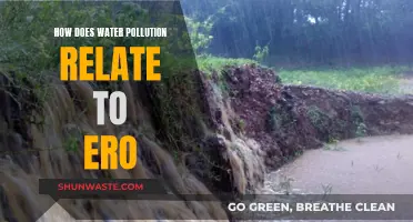 Water Pollution's Impact: ERO and Beyond