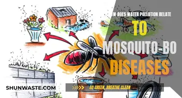 Water's Role in Mosquito-Borne Illness: A Pollution Connection