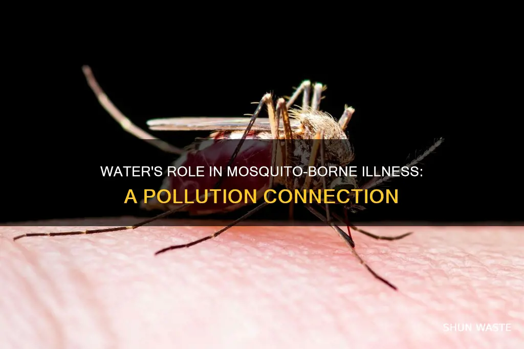 how does water pollution relate to mosquito-borne diseases