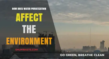 Water Privatization's Environmental Impact: Sustainability, Access, and Ecosystem Concerns